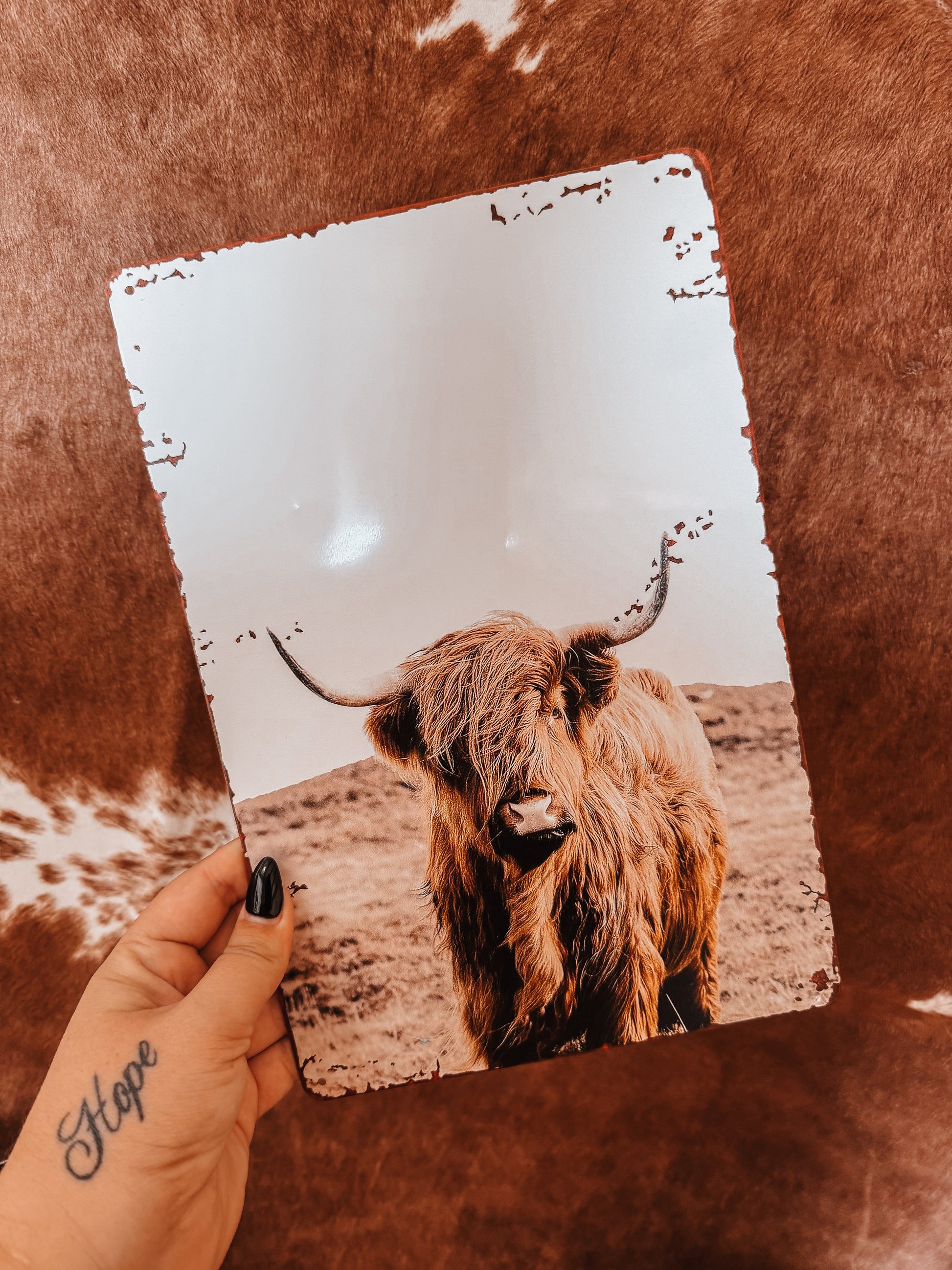 Highland Cow A4 Tin Sign - The Western Boho Co