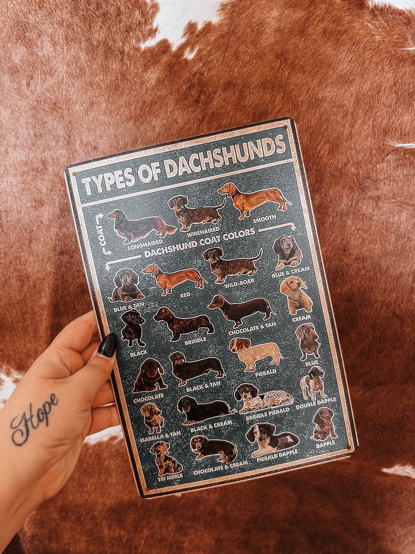 Types of Dachshund Western A4 Tin Sign - The Western Boho Co